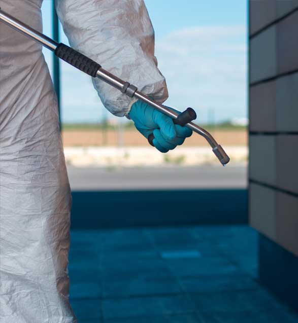 Your Local Pest Control Experts Ardent Pest Management Your Local Pest Control Experts Ardent Pest Management